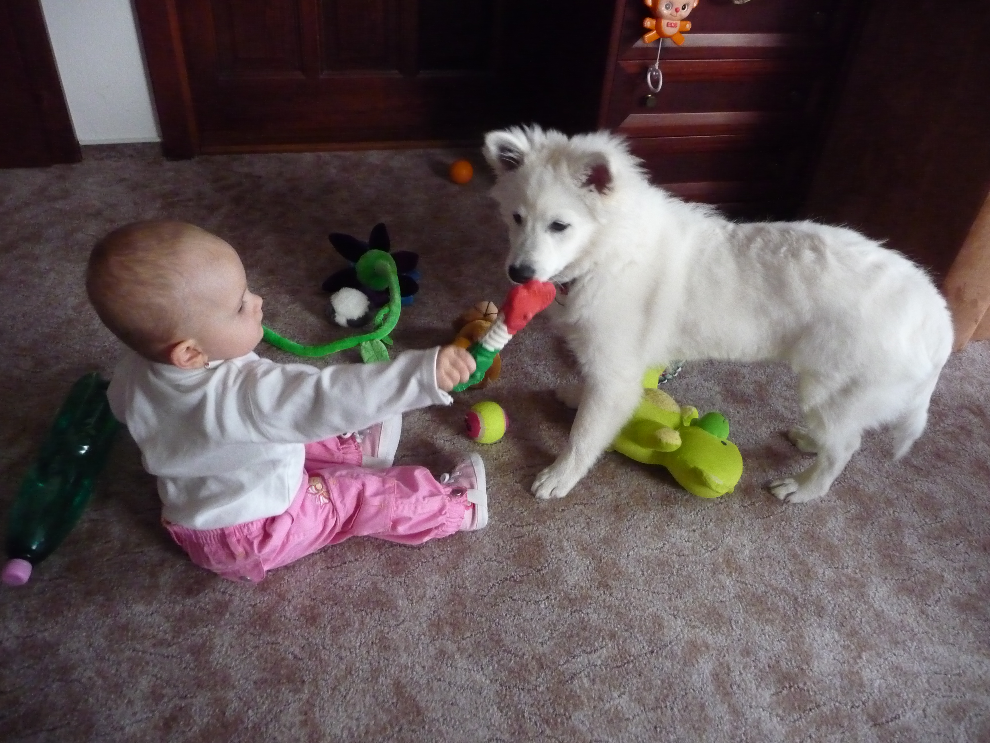 P1010324.JPG